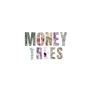 MONEY TREES